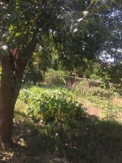 Участок 5 сот. (СНТ, ДНП)  Армавир